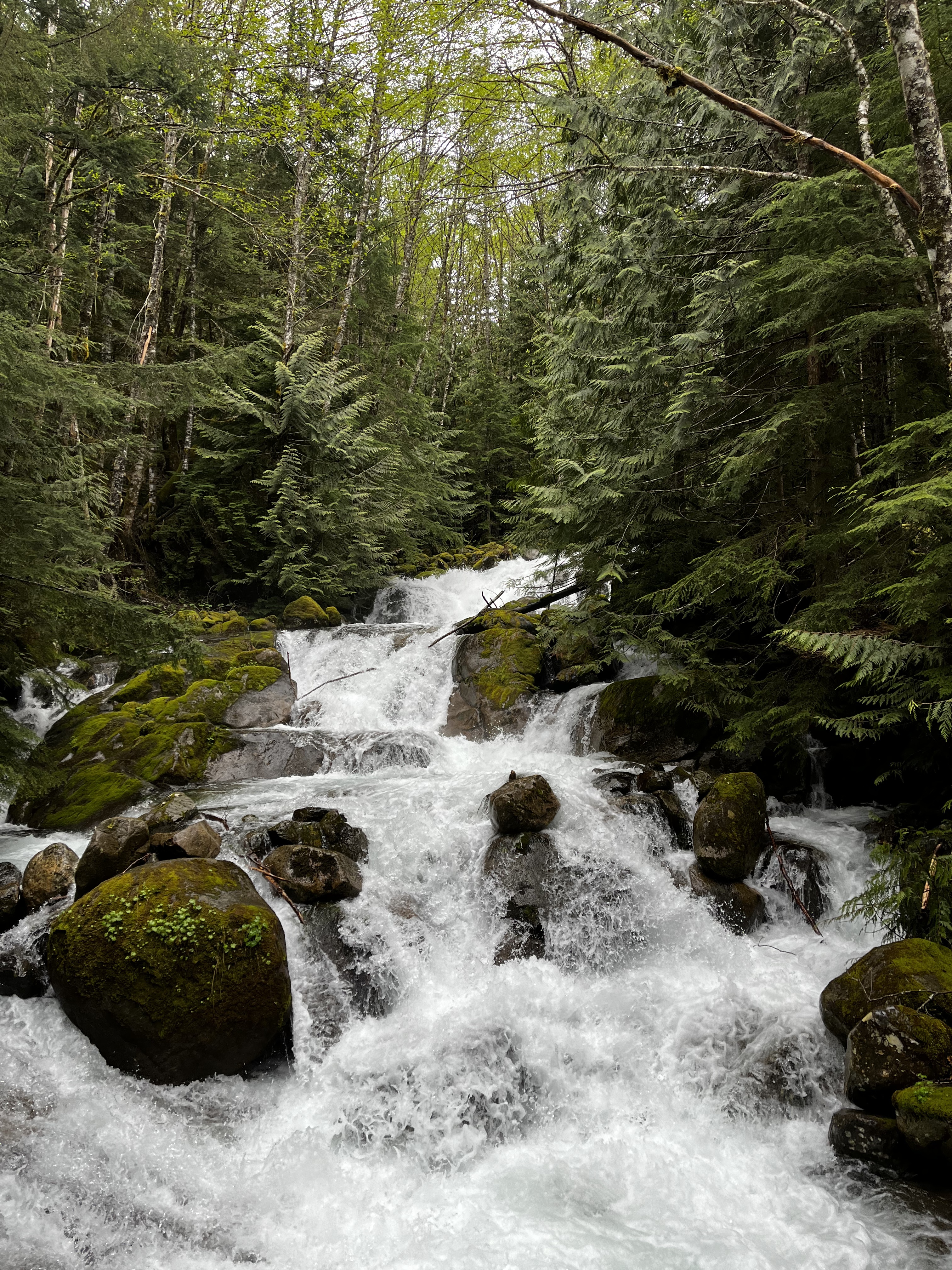 Trail to Annette Lake, Fotografía VeryVero