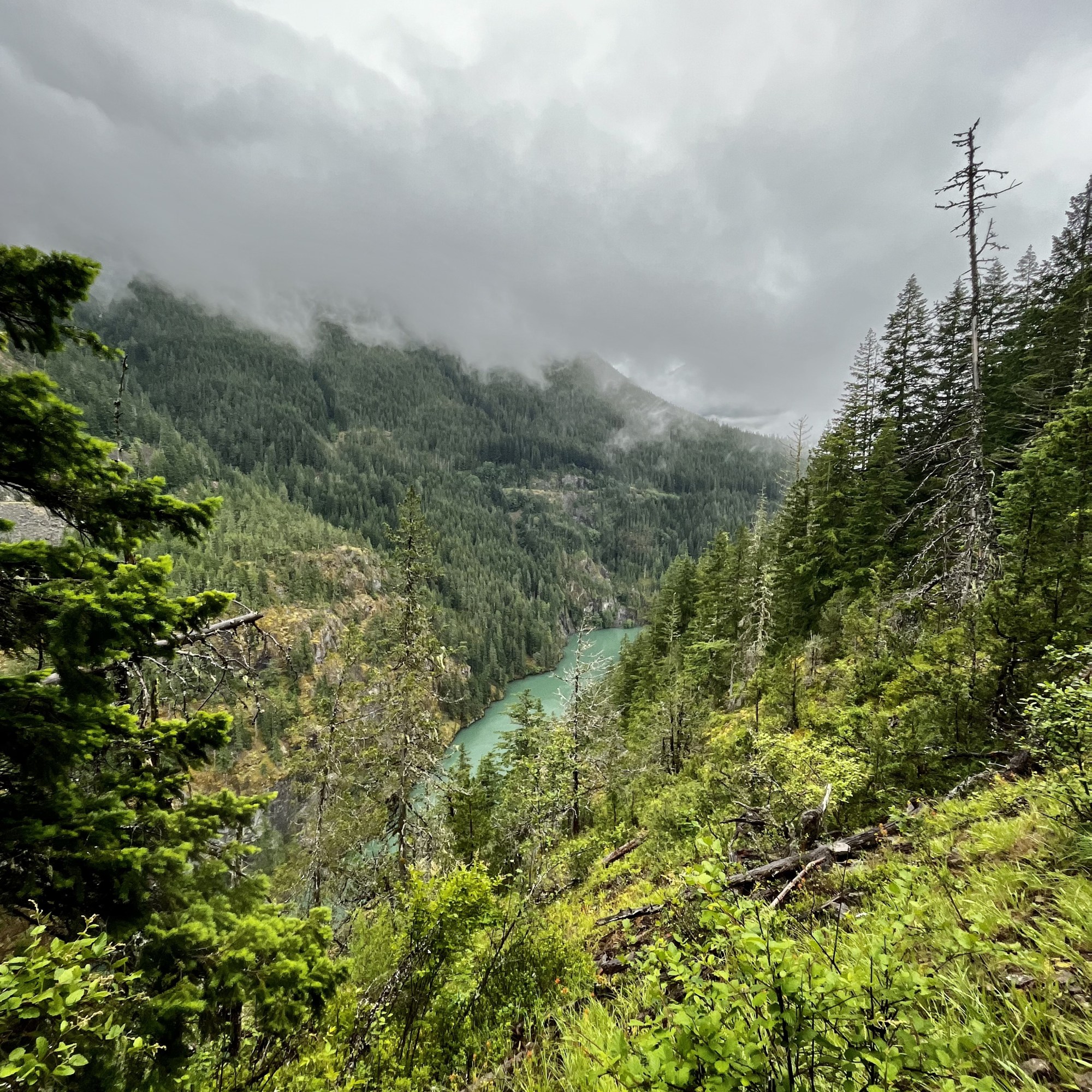Diablo Lake, Fotografía, VeryVero