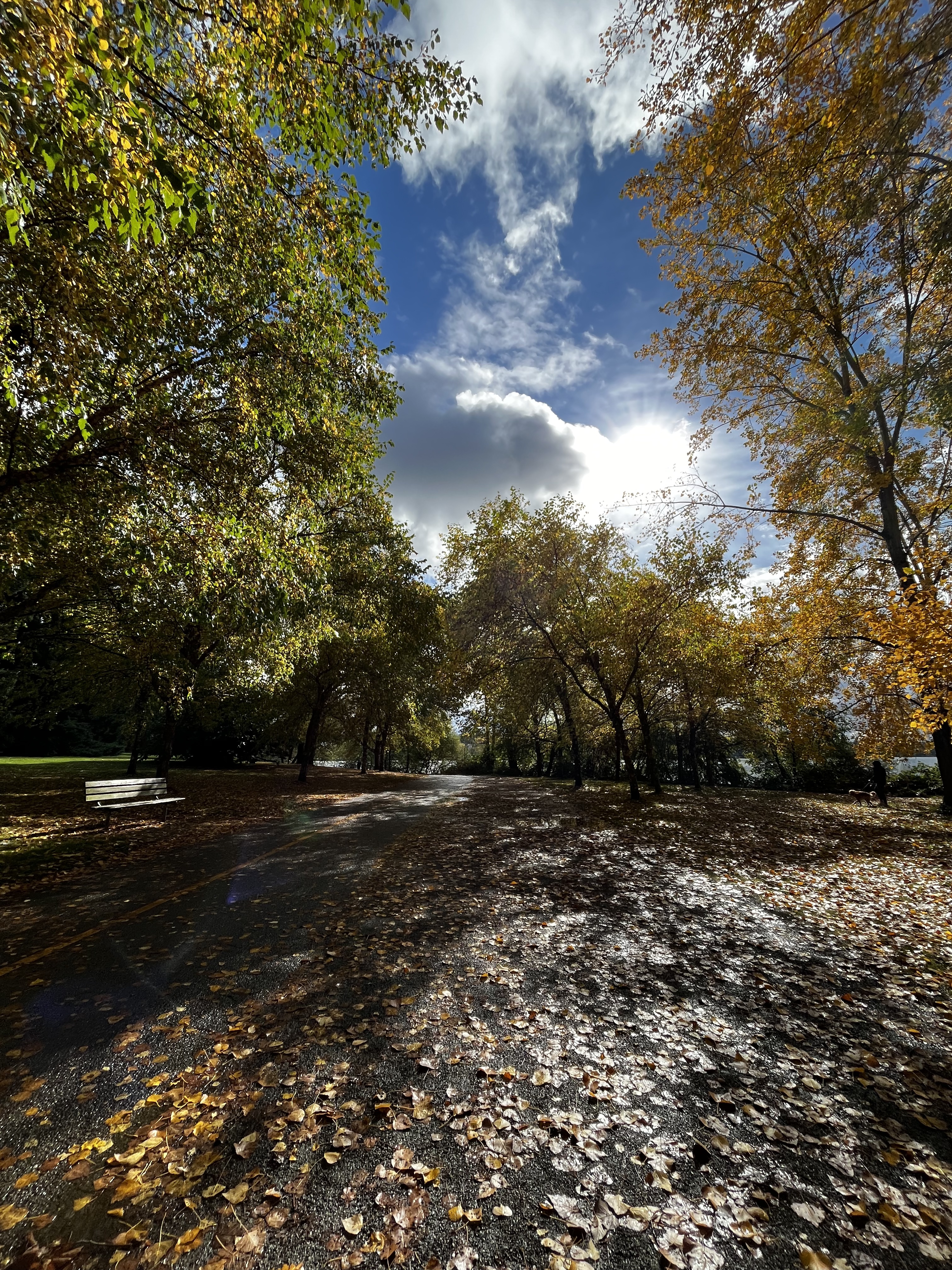 Green Lake, Fotografía, VeryVero