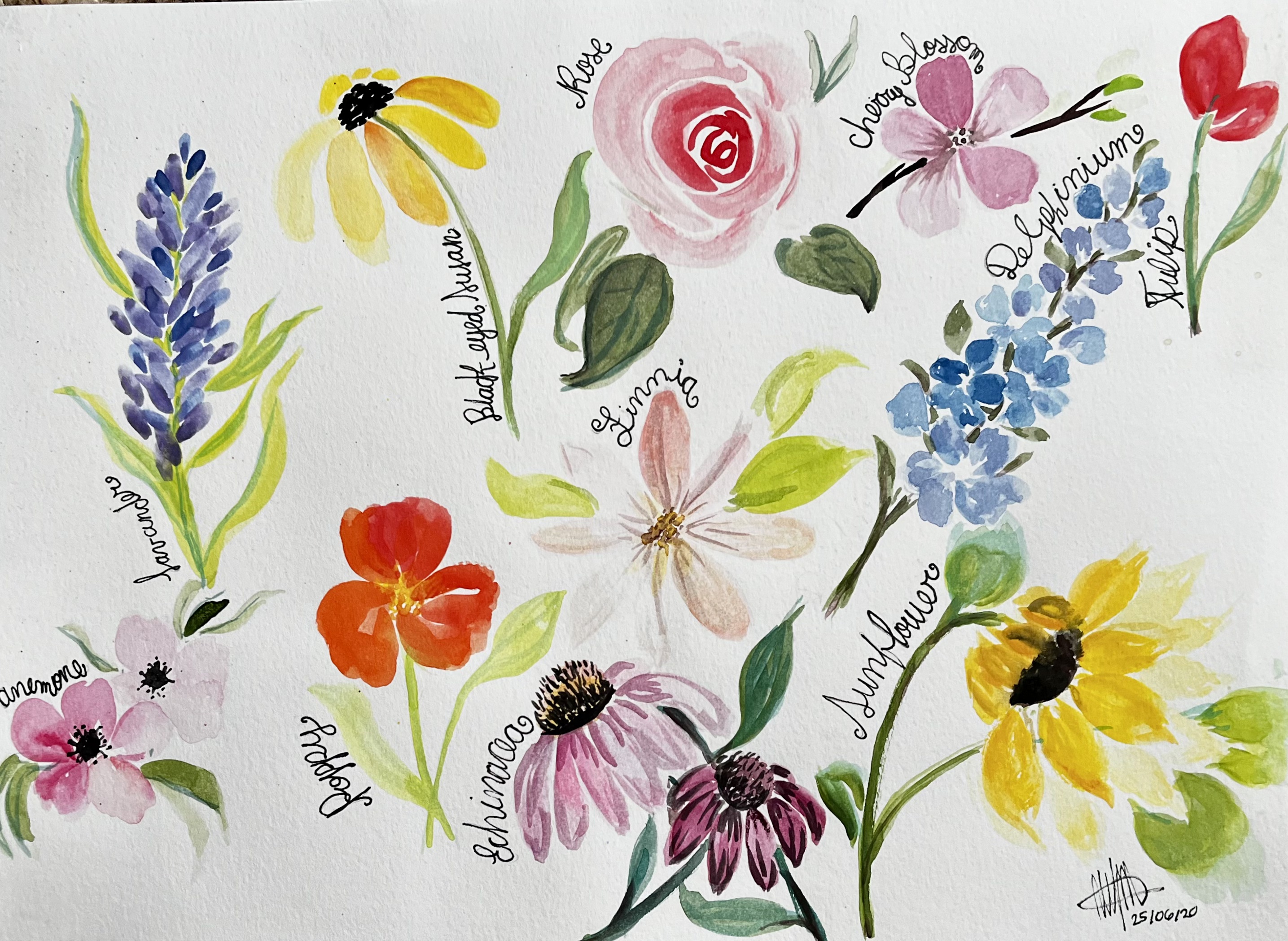 Aproximaciones a las Flores, Acuarela sobre Papel