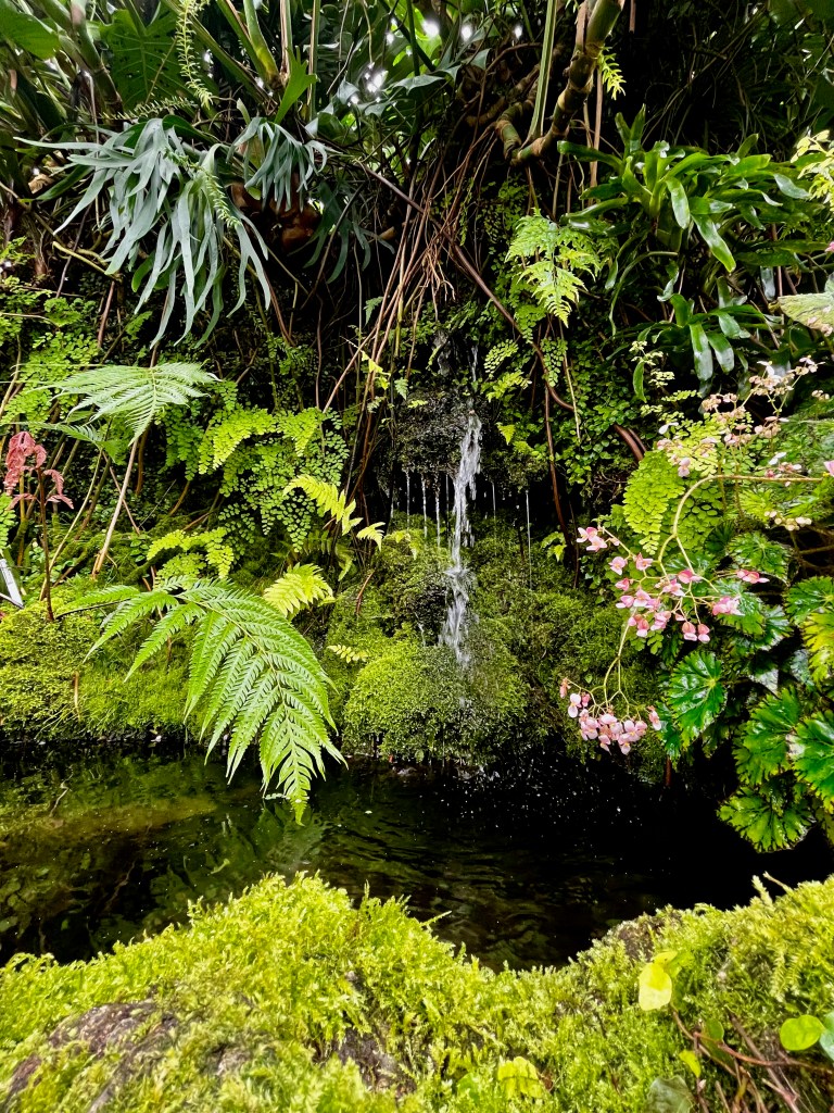 Nature photography, green leaves